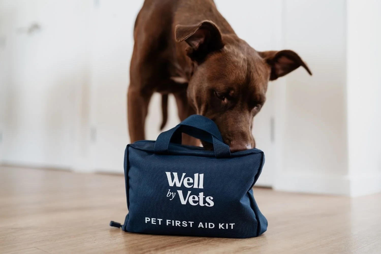Pet First Aid Kit & Emergency Book Bundle | Well by Vets